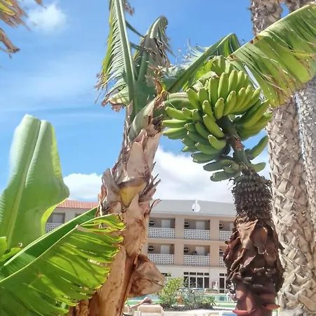 Charming In Costa Del Silencio, 45 M², Near Pool Apartamento